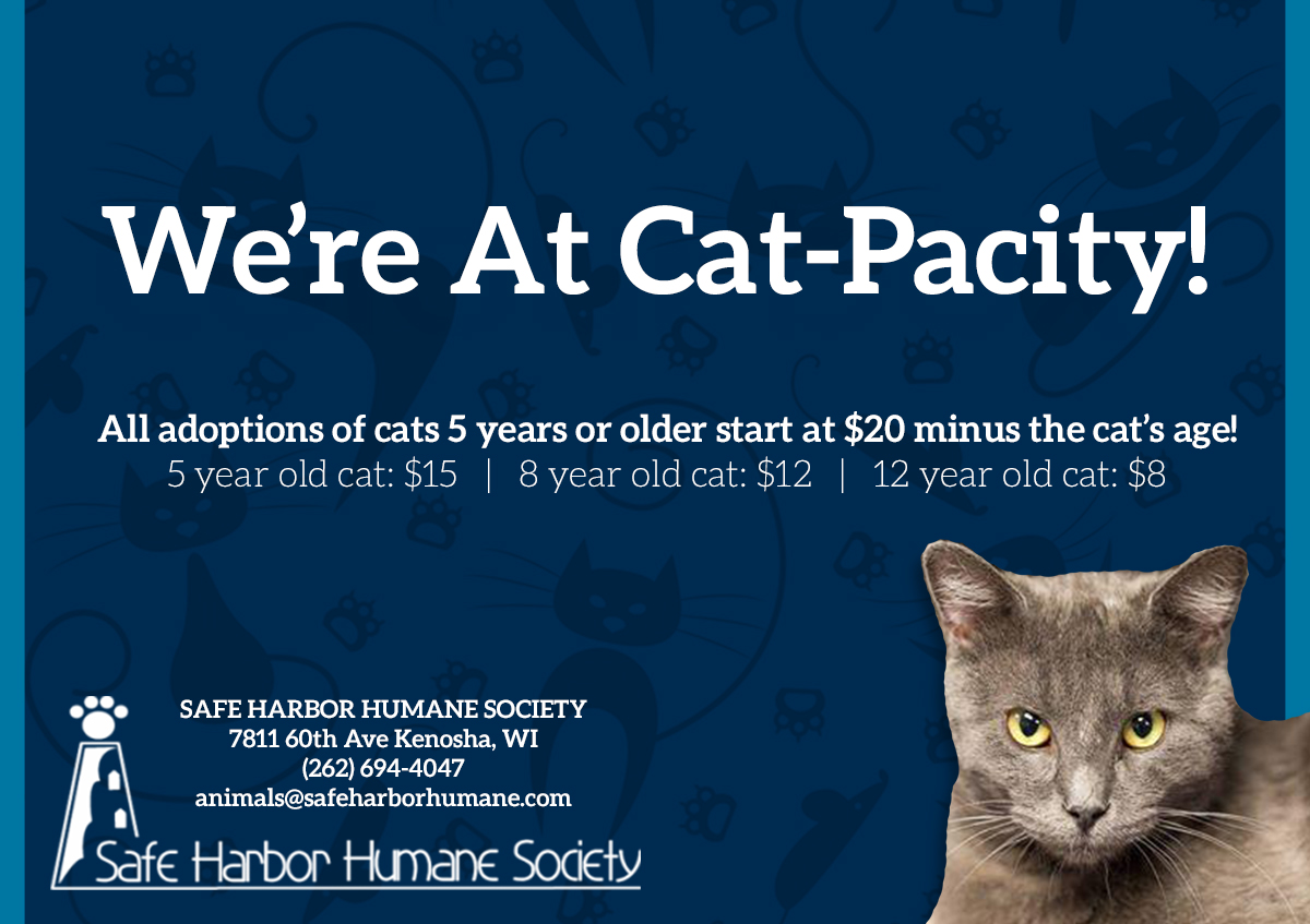 We're at Cat-Pacity flyer